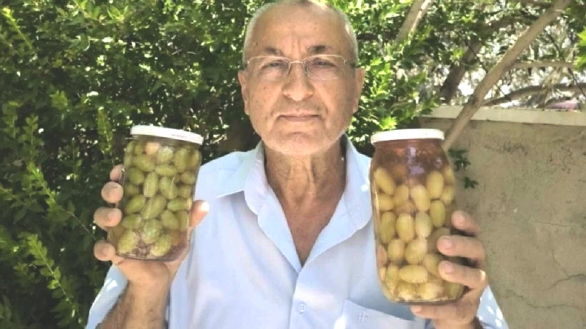 Ne Biber Ne de Salatalık Turşusu! İlk Defa Üretildi Hemen Turşusu Yapıldı, Yiyen Tadına Doymuyor - Resim: 2