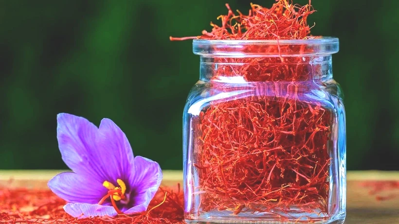 Jandarmanın Başında Nöbet Tuttuğu Tek Hasat Dönemi! Kilosu 600 Bin Lira - Resim: 3